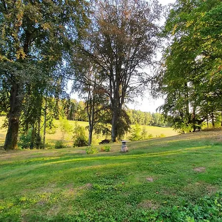 Ferienwohnung Auf Idyllischen Gestüt Auf Historischen Gutshof In Hessen Apartment *